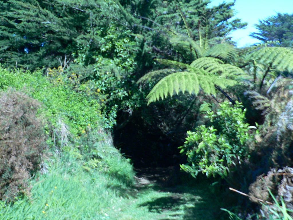 Cape Foulwind Omau Retreatヴィラ エクステリア 写真