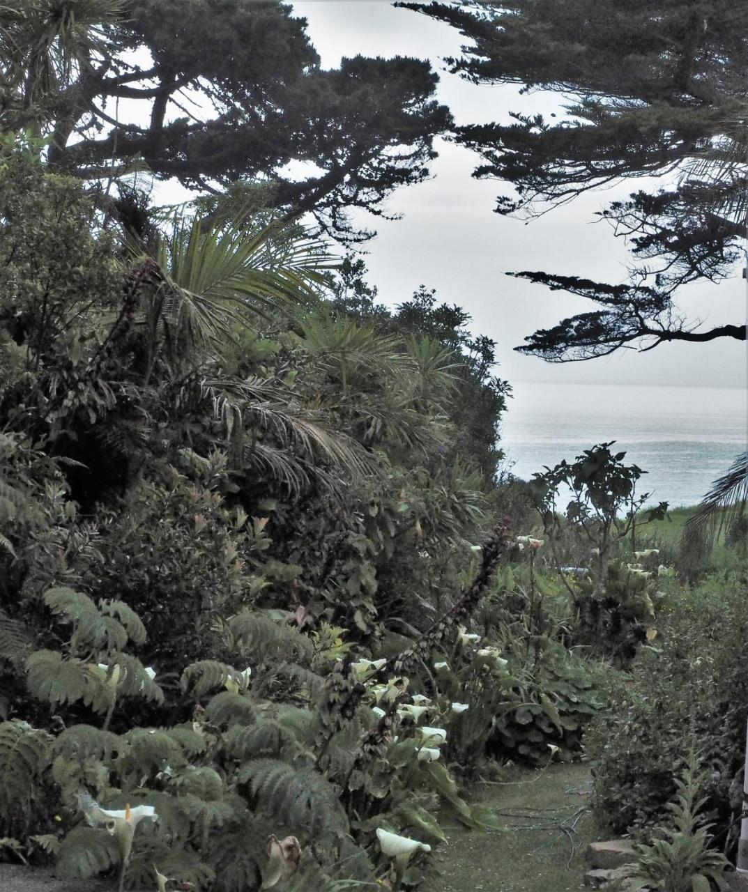Cape Foulwind Omau Retreatヴィラ エクステリア 写真